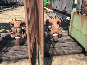 Explore the erotic side of Fallout 4 in the brothel of Diamond City